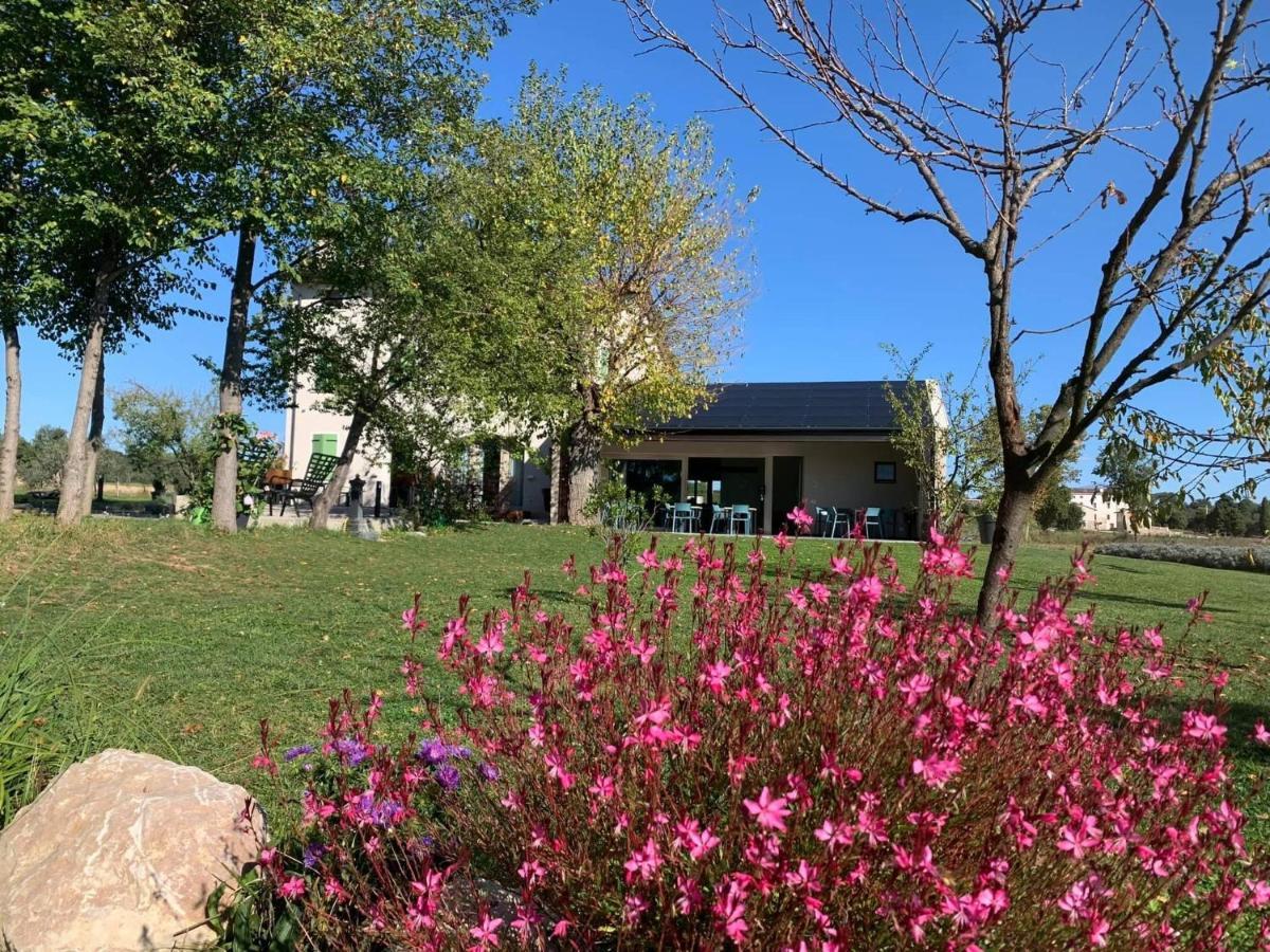 Agriturismo Redo Ponti sul Mincio Exterior foto